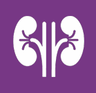 Kidney Disease Drugs