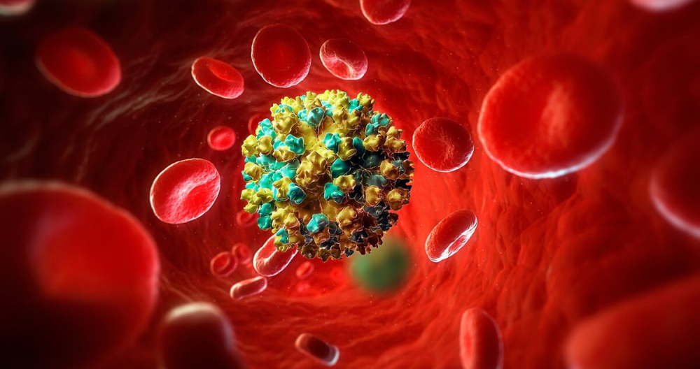 Genotypes of hepatitis C and their treatment.